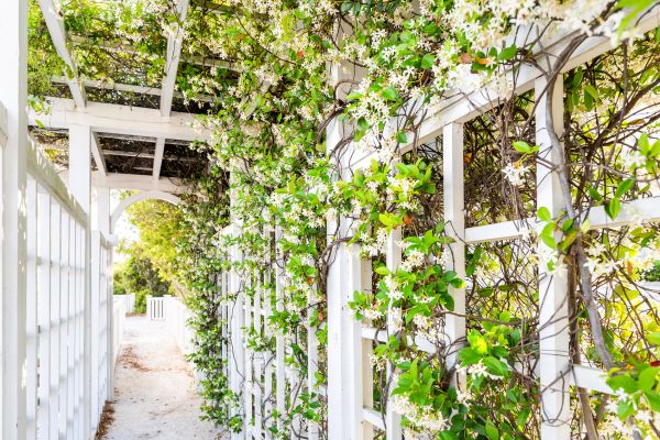Cost of Trellis Repair in Pataskala