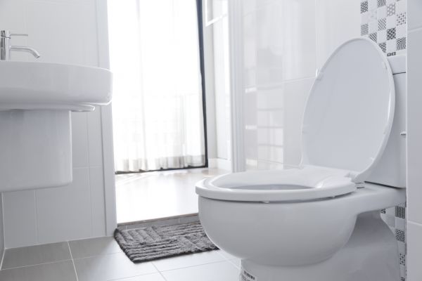 Cost of Toilet Seat Installation in Pataskala