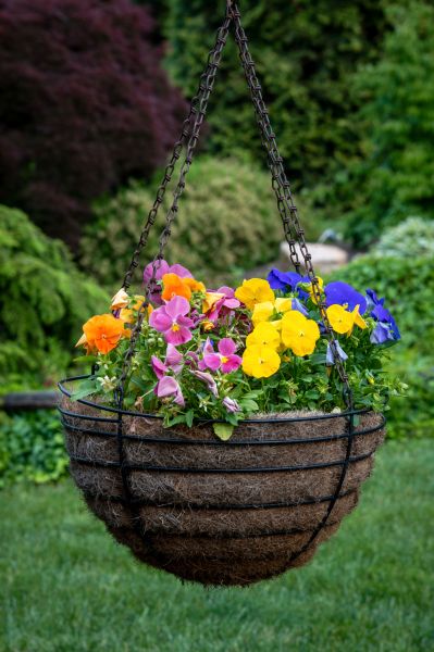 Cost of Hanging Basket Installation in Pataskala