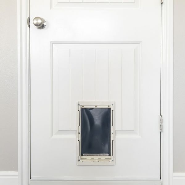Cost of Pet Door Repair in Pataskala