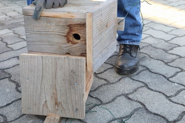 Cost of Birdhouse Mounting in Pataskala