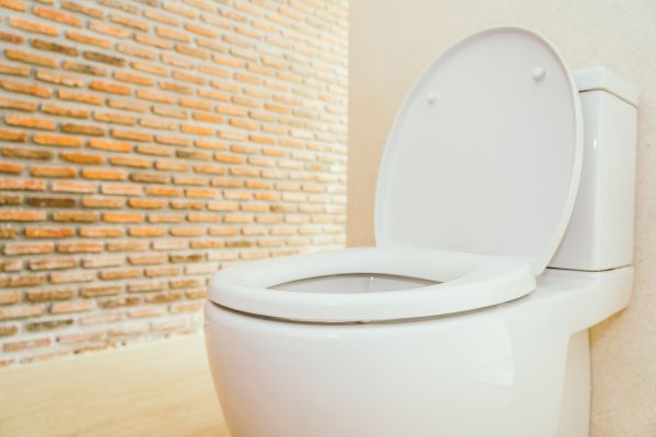 Cost of Toilet Seat Repair in Pataskala