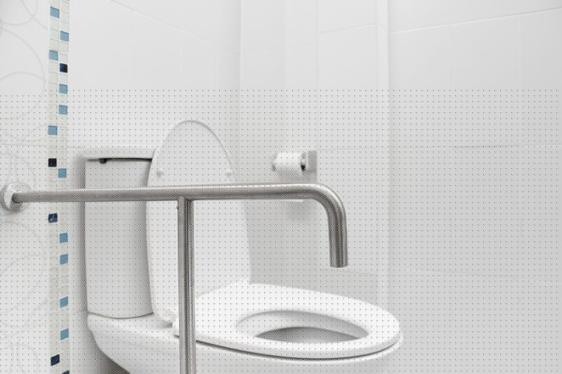 Toilet Handrail Installation