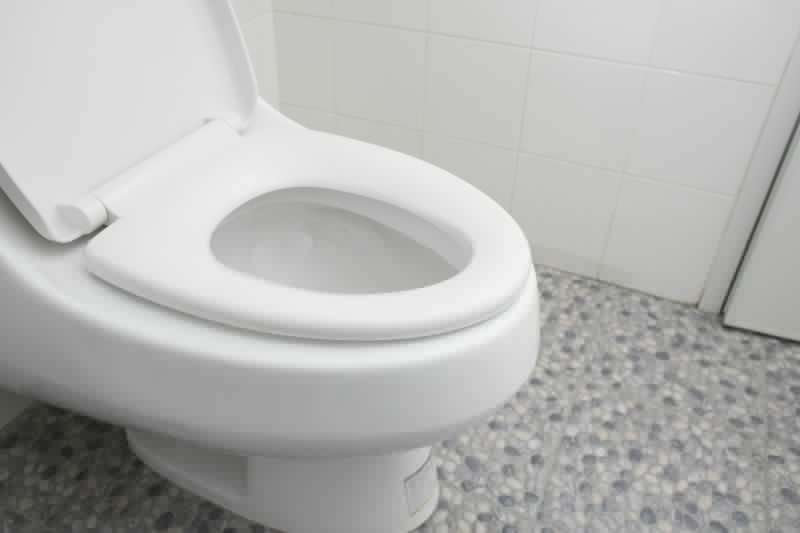 Toilet Seat Installation